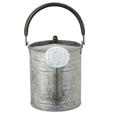 National Tree Company Garden Accents Metal Watering Can