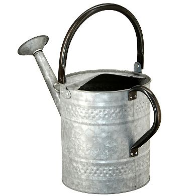 National Tree Company Garden Accents Metal Watering Can