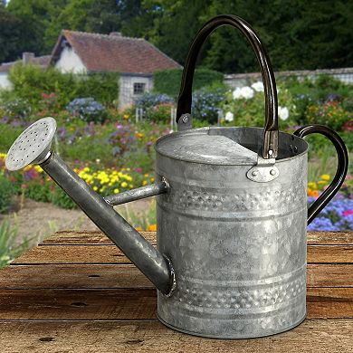 National Tree Company Garden Accents Metal Watering Can