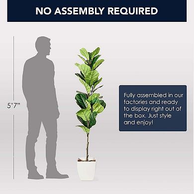 Botanica Home American Art Decor Artificial Fiddle Fig Tree in White Square Ceramic Pot - 60"