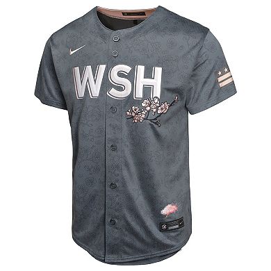 Youth Nike  Charcoal Washington Nationals City Connect Limited Jersey