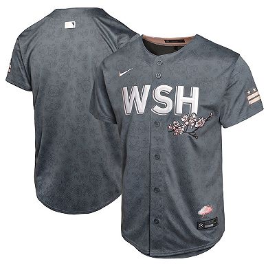 Youth Nike  Charcoal Washington Nationals City Connect Limited Jersey