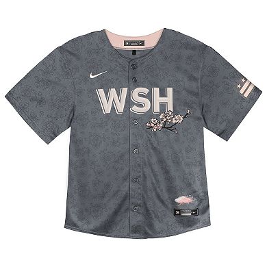 Toddler Nike  Charcoal Washington Nationals City Connect Limited Jersey