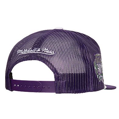 Men's Mitchell & Ness Purple Milwaukee Bucks Roper Meshback Trucker Snapback Hat