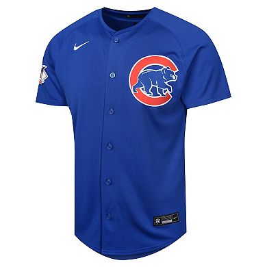Youth Nike Dansby Swanson Royal Chicago Cubs Alternate Limited Player Jersey