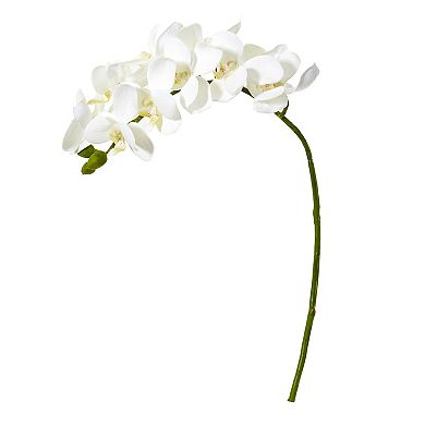 Phalaenopsis Orchid Artificial Flower (set Of 6)