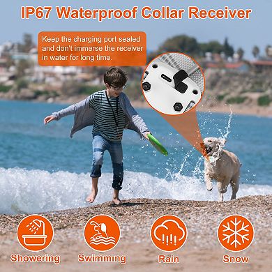 Ip67 Electric Dog Training Collar With Light, Beep, Vibration