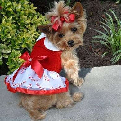 Doggie Design Holiday Harness Dress