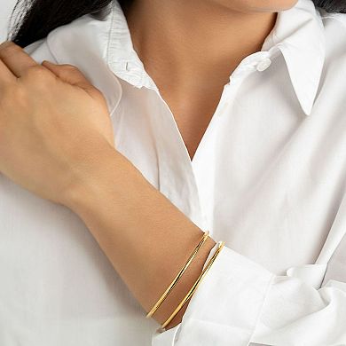 Adornia 14K Gold Plated Stainless Steel Double Row Bangle Bracelet