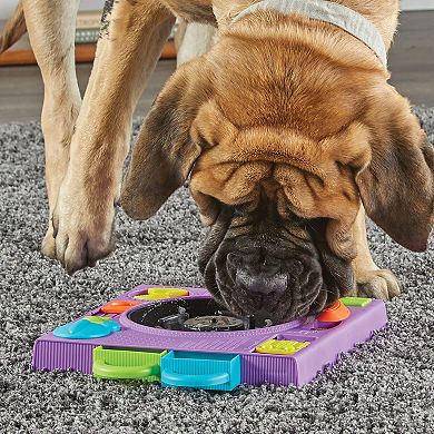 Brightkins DJ Doggo Pet Puzzle Feeder