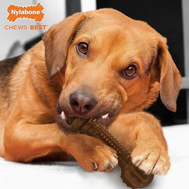 Nylabone Essentials Power Chew Barbell Meaty Medley Flavor