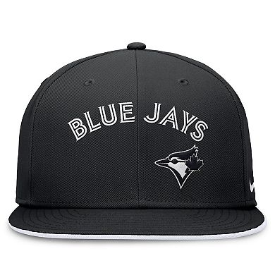 Men's Nike Black Toronto Blue Jays Primetime True Performance Fitted Hat