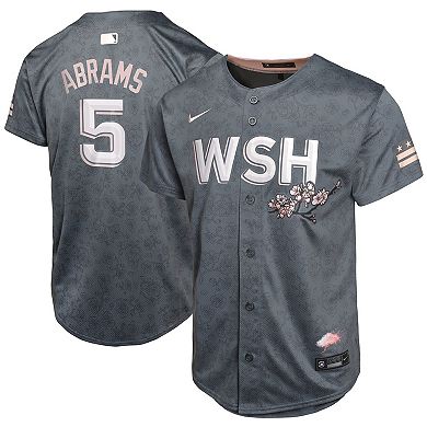 Youth Nike C.J. Abrams Charcoal Washington Nationals City Connect Limited Player Jersey