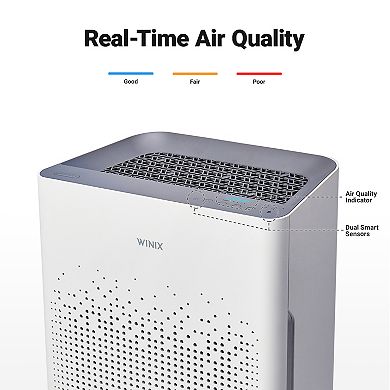 Winix AM90 4-Stage True HEPA Air Purifier