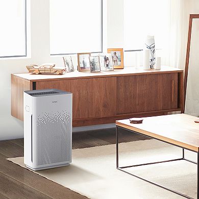 Winix AM90 4-Stage True HEPA Air Purifier