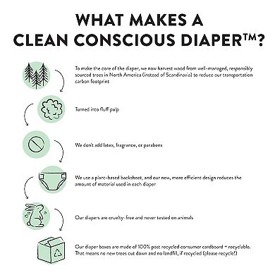 The Honest Company Club Box Diapers