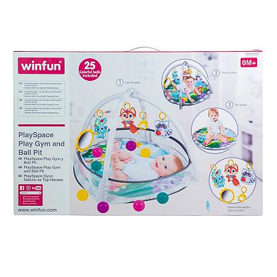 Winfun Playspace Play Gym/Ball Pit Set