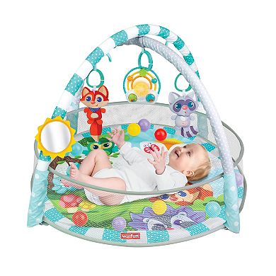 Winfun Playspace Play Gym/Ball Pit Set