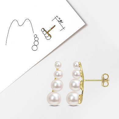 Stella Grace 18k Gold Over Silver Freshwater Cultured Pearl Graduated Stud Earrings
