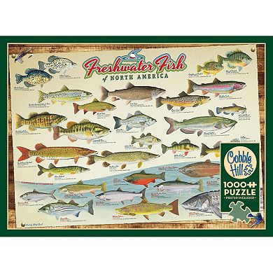 Cobble Hill 1000 Piece Puzzle: Freshwater Fish Of North America