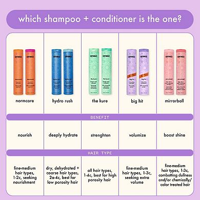 Big Hit Volumizing Conditioner