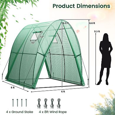 6 X 6 X 6.6 Ft Outdoor Wall-in Tunnel Greenhouse