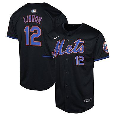Youth Nike Francisco Lindor Black New York Mets Alternate Limited Player Jersey