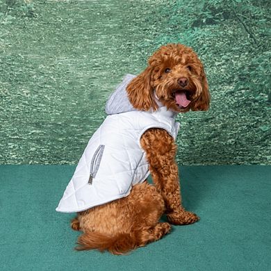 Doggie Design Weekender Dog Sweatshirt Hoodie