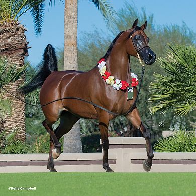 Breyer Horses The Traditional Series RD Marciea Bey Champion Arabian Toy Horse