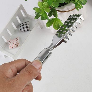 Stainless Steel Fish Scaler Brush Tool