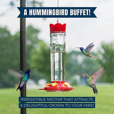 Mekkapro Premium Hummingbird Nectar - 60oz - Attract, Delight, And Energize Your Garden