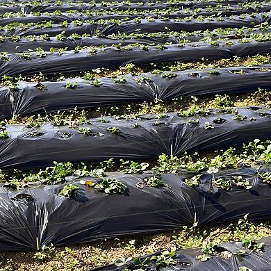 Weed Barrier Landscape Fabric