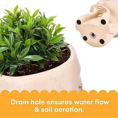 Face Planters Pot With Drainage Hole