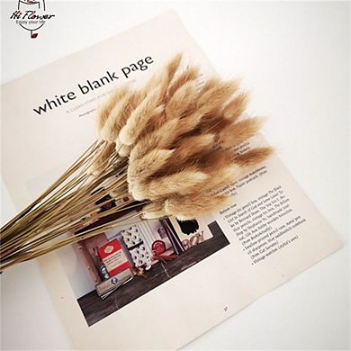 Dried Flowers Pampas Grass, 0.39'', Natural Dried Flowers, Perfect For Wedding & Home Decor