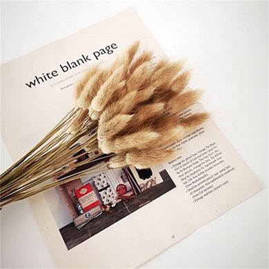 Dried Flowers Pampas Grass, 0.39'', Natural Dried Flowers, Perfect For Wedding & Home Decor