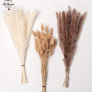 Dried Flowers Pampas Grass, 0.39'', Natural Dried Flowers, Perfect For Wedding & Home Decor