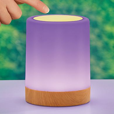 Collections Etc Rechargeable Color-changing Touch Light