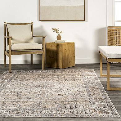 nuLOOM Britt Persian Area Rug