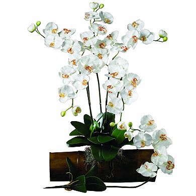 Phalaenopsis Silk Orchid Flower w/Leaves (6 Stems)