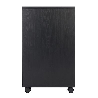 Wide 2-Drawer Filing Cabinet with Adjustable Shelf - Mobile Storage Solution