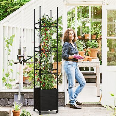 Raised Garden Bed With Obelisk Trellis And 3 Heights & Detachable Pe-coated Metal Tubes-Black