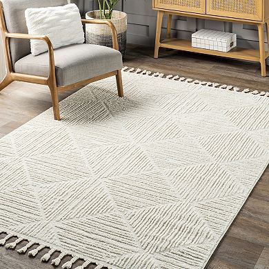 nuLOOM Kerry Textured Geometric Tasseled Area Rug