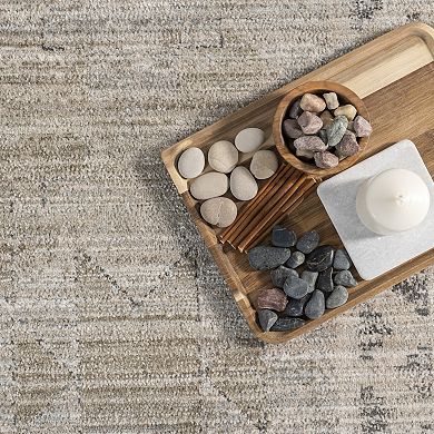 nuLOOM Aine Bordered Indoor / Outdoor Area Rug