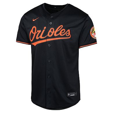 Youth Nike Black Baltimore Orioles Alternate Limited Jersey