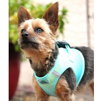 Doggie Design American River Choke Free Dog Harness Collection