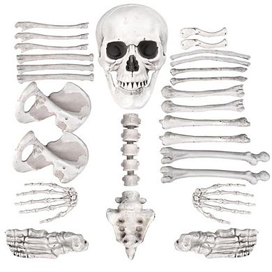 Halloween Skeleton Bones