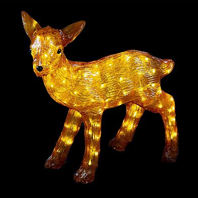 Northlight LED Lighted Acrylic Reindeer Christmas Display Decoration