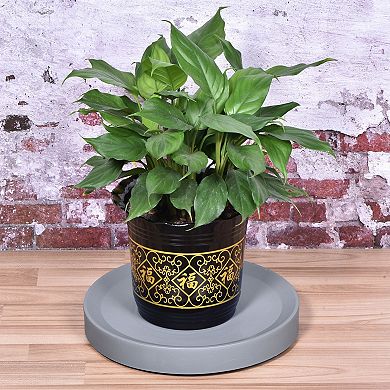 Plant Pallet With Invisible Wheels 13" Round Plastic Rolling Flowerpot For Indoor Outdoor