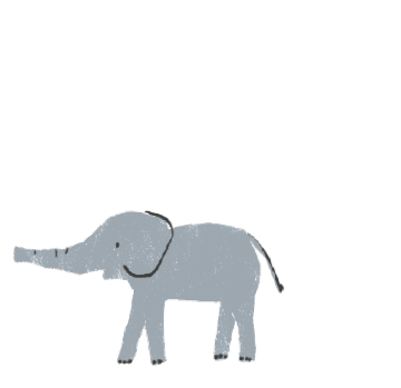 cute elephant spraying water