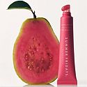 Lip Balms & Treatments